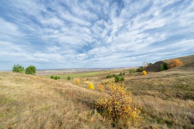 Birch, oaks, linden, maples, dressed in multi-colored yellow orange-red leaves. blue sky with fluffy white clouds. Autumn landscape photography, the European part of the Earth.