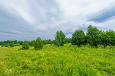 Tarlalar, çayırlar, yeşil bitkilerle kaplı vadiler. Beyaz kabarık bulutlu güzel mavi gökyüzü. Yaz manzara fotoğrafçılığı. Dünyanın Avrupalı kısmı.