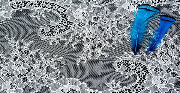 White Lace Fabric Black Background Our Collection Lace Fabrics Delightfully — Zdjęcie stockowe