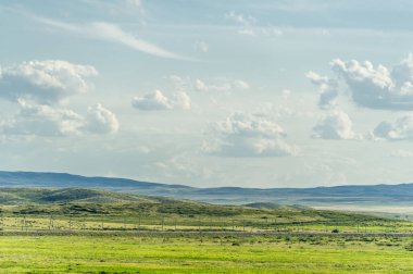 Kuzey ve güney yarımkürenin ılıman ve subtropikal bölgelerinde bozkır, bozkır, veld, veldt. Plato. Tepeler.