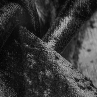 Siyah ve beyaz kadife kumaş, kalın ipek kumaş, pamuk ya da naylon bir tarafı kalın, kısa bir yığın. Doku, arkaplan