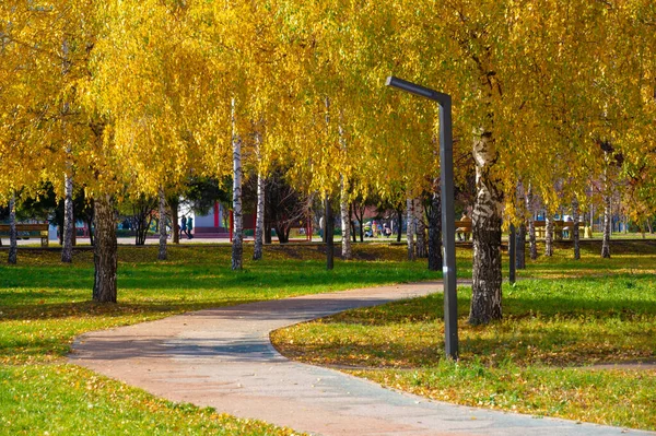 Autumn Landscape Sketch Autumn Photo Yellow Burgundy Red Leaves Summer — Stock Photo, Image