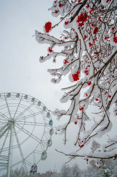 Sneeuw Roept Reacties Uit Kindertijd Schoonheid Van Een Sneeuwvlok Waarderen — Stockfoto