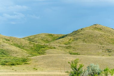Bozkır, çayır, veld, veld otların hakim olduğu düz bereketli topraklardır. Çayır otları toprağı sıkıca tutar bu yüzden erozyon çok azdır. Büyük düzlükler. Kazakistan Büyük Steppe