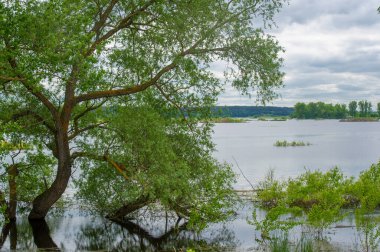 Flooding A rise in the water level in a river as a result of rapid melting of snow, large quantities of water flowing out of normal boundaries, especially over land.