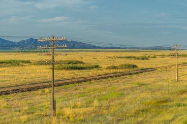 Kuzey ve güney yarımkürenin ılıman ve subtropikal bölgelerinde bozkır, bozkır, veld, veldt. Plato. Tepeler.