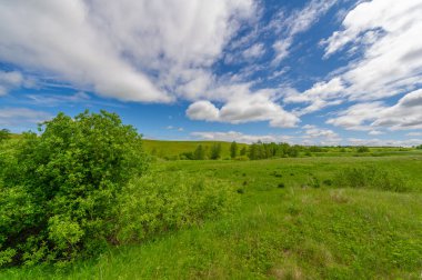 Spring photography, meadows, fields, ravines, hills, rural landscape. A deep narrow gorge with steep slopes. A naturally raised area of land not as high or craggy as a mountain.