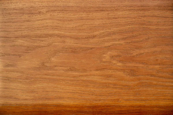 Solid Oak Ash Varnished Oak Ash Boards Beautiful Lacquered Panels — 图库照片