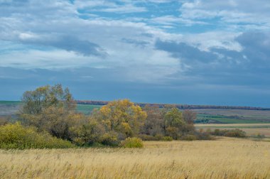 These autumn photos are beautiful! Wonderful little cards to send on Thanksgiving or the fall months. This photo captures some of the glory and magic of the fall. Rich colors and good compositions.
