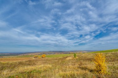 Birch, oaks, linden, maples, dressed in multi-colored yellow orange-red leaves. blue sky with fluffy white clouds. Autumn landscape photography, the European part of the Earth.