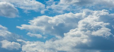 Vahşi yaşam fotoğrafçılığı. Kümülüs bulutları düz tabanlı bulutlardır ve genellikle kabarık, pamuk gibi veya kabarık görünürler..