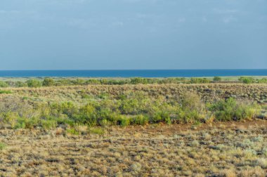 Çayır, veld, ormansız bozkır, nemli ve kurak iklim bölgesinde bitkisel hayata sahip. Çayır bitkileri kalıcı yanıklara adapte olup güçlü yeraltı yapıları geliştirirler.