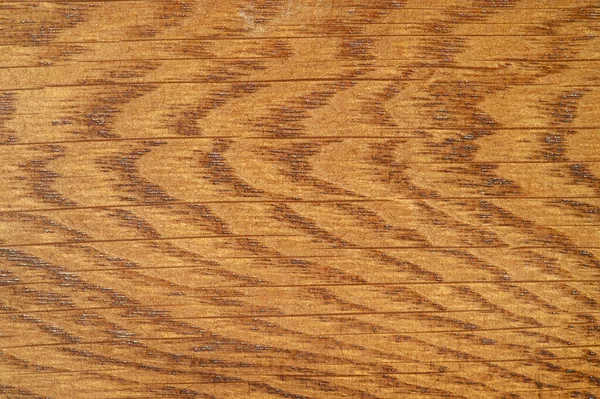 坚实的橡木和灰 清漆或清漆 橡木和灰板 漂亮的漆板 具有自然图案的木质部 非常高分辨率的照片 纹理背景模式 — 图库照片
