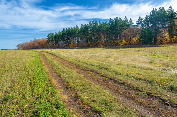 Autumn Dirt Roads Canopy Golden Yellow Tree Leaves Sets Dirt — Zdjęcie stockowe