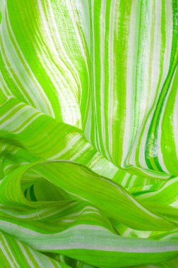 Doku, arkaplan, desen, yeşil çizgiler, pamuk kumaş, Mapudungun panço, battaniye, yün kumaş - bunlar vücudu sıcak tutmak için tasarlanmıştır..