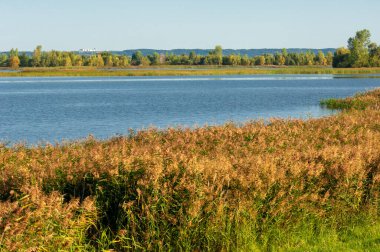 Yaz manzarası, dünyanın Avrupa bölgesinde büyük ve güçlü bir nehir. Bulgar, Volga 'nın sol kıyısında, Kazan' a 140 kilometre mesafede bulunuyor. Daha önce, Spassk olarak biliniyordu..