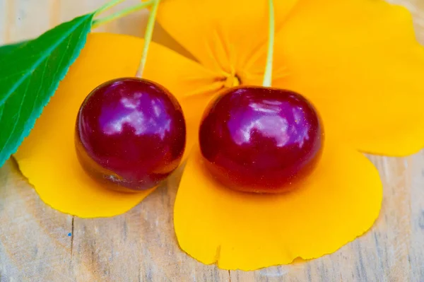 Cherries Used Make Desserts Sauces Jams Wine Many Species Grown — стоковое фото
