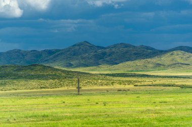 Çayırlık, bozkır ekosistemi, çayırlık, savana ve çalı biyologlarına göre, benzer ılıman bir iklime, ılımlı yağış ve çimen bileşimine dayanan bir çalı biyomu.,