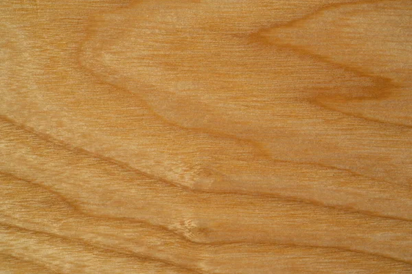 Rovere Massello Frassino Verniciato Verniciato Tavole Quercia Frassino Bellissimi Pannelli — Foto Stock