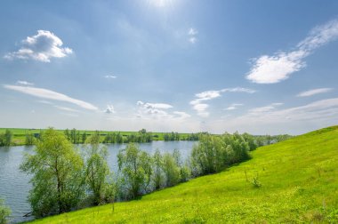 Bahar fotoğrafı, söğüt ağacı, parlak yeşillik, bulutlu mavi gökyüzü, harika bahar havası.