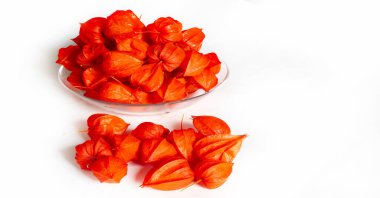 Physalis sidik torbası kirazı, Çin feneri, Japon feneri, Çilek Çileği, Japonya, parlak ve fener benzeri meyve kapları Bon festivalinin geleneksel bir bölümünü oluşturur.