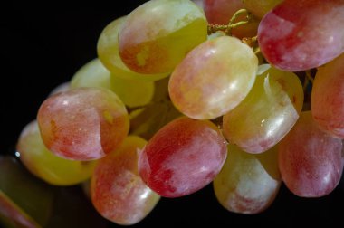 Grapes are good for heart health. The polyphenols in grapes help prevent heart disease. It's portable and fun to eat. Grown for millennia, it is rich in nutrients, antioxidants and plant compounds.