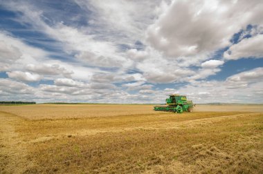 08/24/2009 Tatarstan Russia. Summer photo. Grain harvesting. The harvester is mowing wheat. Gold color palette.