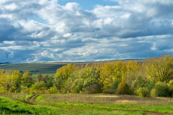 Jesienny Krajobraz Zdjęcie Leśny Krajobraz Europejskiego Lasu Mieszanego Jesienią Duże — Zdjęcie stockowe