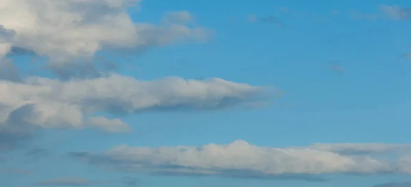 Wildlife Photography Cumulus Clouds Clouds Have Flat Bases Often Described — Stock Photo, Image