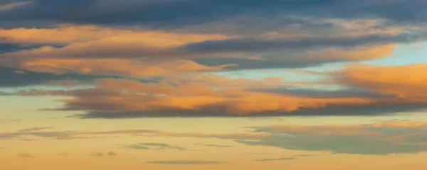 Wildlife Photography Cumulus Clouds Clouds Have Flat Bases Often Described — Fotografia de Stock