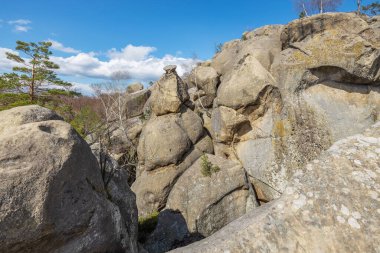 Yaz manzarası, Dovbush Ukrayna 'daki Karpatlar' da sallanıyor. Dağlara yolculuk..