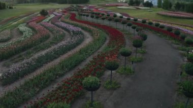 Çiçeklerin açtığı güzel bir parkın manzarası, yaz günü, insansız hava aracının hava manzarası.