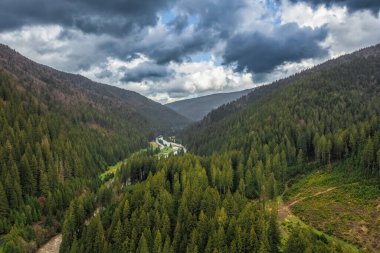Ormanın ve dağların havadan görünüşü, Karpatlar, güzel manzara. Turizm, seyahat, Ukrayna