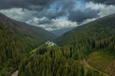 Ormanın ve dağların havadan görünüşü, Karpatlar, güzel manzara. Turizm, seyahat, Ukrayna