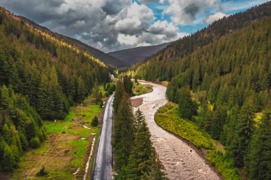 Ormanın ve dağların havadan görünüşü, Karpatlar, güzel manzara. Turizm, seyahat, Ukrayna
