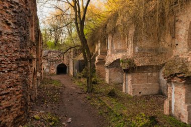 Tarakanovsky Fort Dubensky Fort, New Dubenskaya Kalesi, 19. yüzyılda Rivne bölgesinin Dubna bölgesinde Tarakanov köyü yakınlarında bulunan mimari bir anıttır. Manzara, hava manzarası