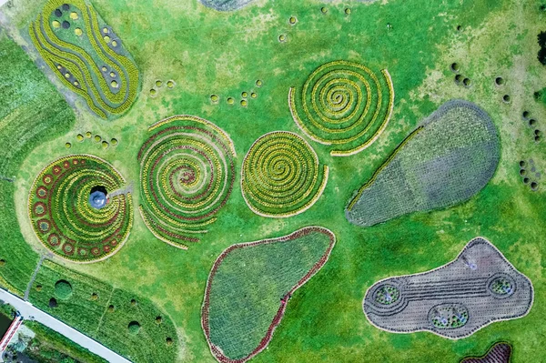 Pemandangan Udara Dari Bunga Hijau Taman Dalam Bentuk Lingkaran Labirin — Stok Foto