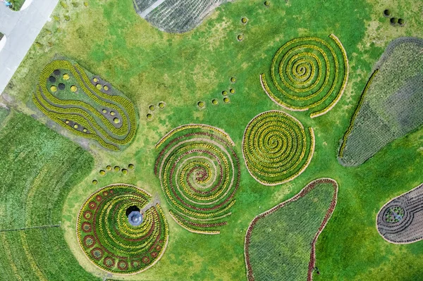 Luftaufnahme Der Grünen Blumenbeete Park Form Von Kreisen Einem Labyrinth — Stockfoto