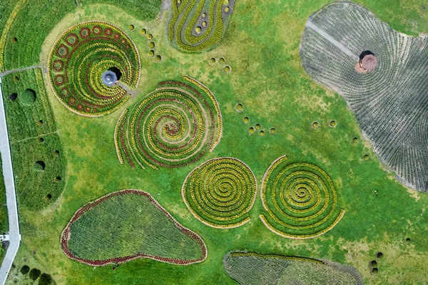 Luftaufnahme Der Grünen Blumenbeete Park Form Von Kreisen Einem Labyrinth — Stockfoto