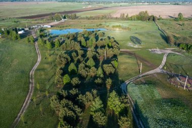 Parktaki çok renkli lalelerin havadan görünüşü, daireler, labirent ve diğer şekiller şeklinde ekilmiş. İHA atışı. Doğal yaz mevsimi..
