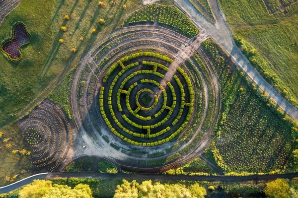 Luftaufnahme Der Grünen Blumenbeete Park Form Von Kreisen Einem Labyrinth — Stockfoto