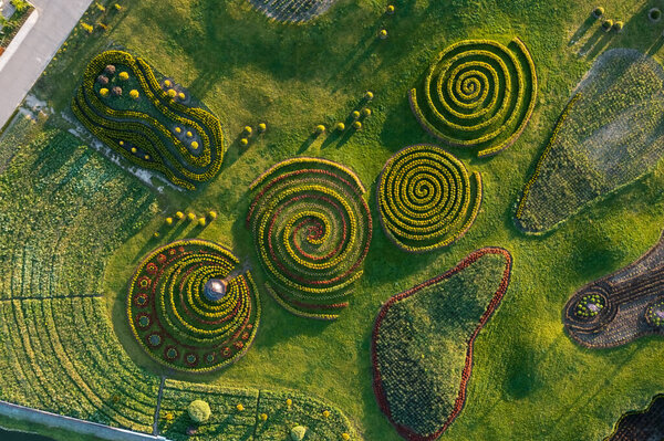 Вид с воздуха на зеленые клумбы в парке в виде кругов, лабиринта и других фигур, выстрел дрона. Естественный летний фон весны.