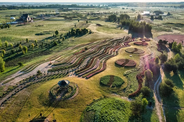 Flygfoto Flerfärgade Tulpaner Parken Planterade Form Cirklar Labyrint Och Andra — Stockfoto