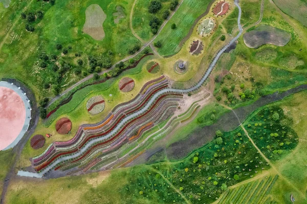 Luftaufnahme Von Mehrfarbigen Tulpen Park Die Form Von Kreisen Einem — Stockfoto