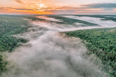 Dağ tropikal yağmur ormanlarının hava görüntüsü, bulutların üzerindeki kuş bakışı görüntü bulutların ve dağ zirvelerinin inanılmaz doğa arka planı.