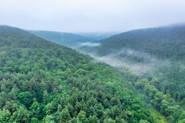 Dağ tropikal yağmur ormanlarının hava görüntüsü, bulutların üzerindeki kuş bakışı görüntü bulutların ve dağ zirvelerinin inanılmaz doğa arka planı.