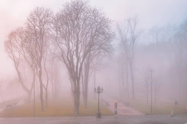 Volodymyr Hill Vladimir Hill Morning Fog Large Park Located Steep — стокове фото
