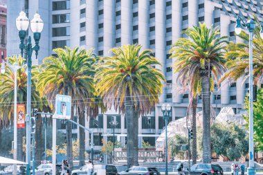 San Francisco, California 'daki palmiye ağaçlarının manzarası. Konsept seyahat, turizm