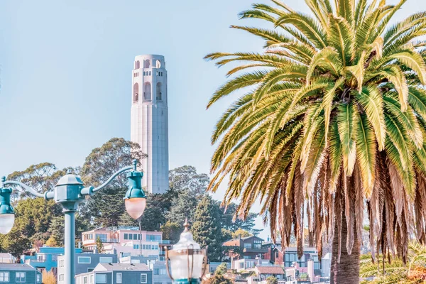 San Francisco California Usa October 2021 Coit Tower Framed Palm — Stock Photo, Image