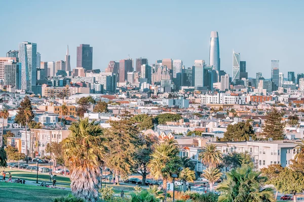 Dolores Park, San Francisco, California. Ön planda palmiye ağaçları ve arka planda San Francisco silueti olan park manzarası fotoğrafı